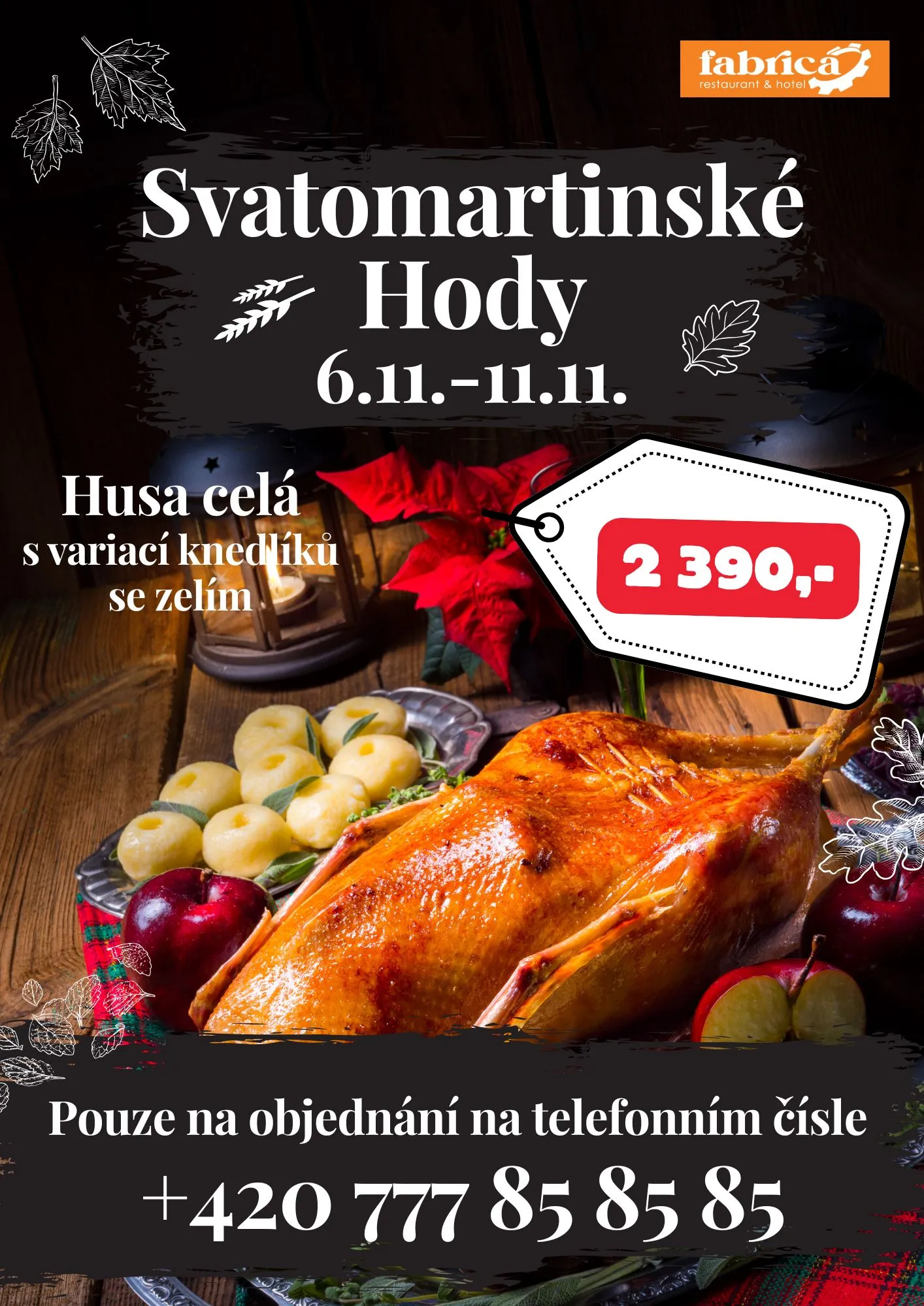 Svatomartinské Hody 2026